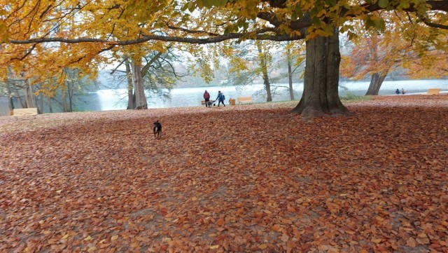 Jesienny spacer po Łagowie Lubuskim