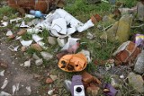 Kto jest odpowiedzialny za ten okropny stan Legnicy? W samym centrum miasta jest śmietnik!