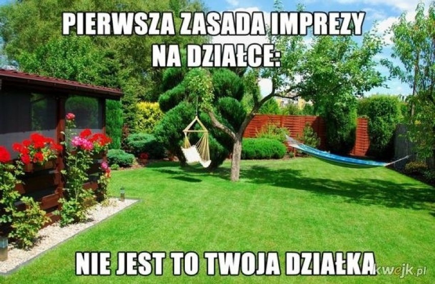 MEMY o działkowcach i ogródkach