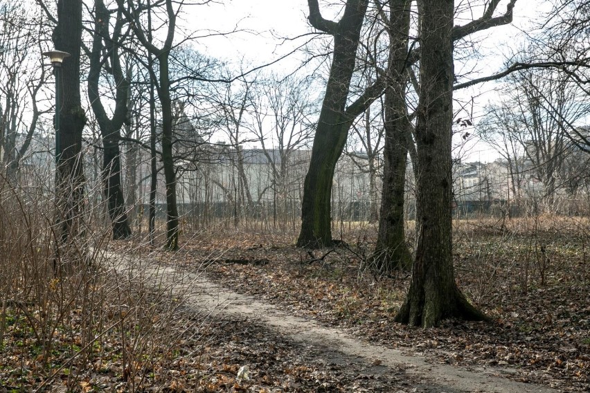 Kraków kupił park Jalu Kurka za prawie 11 milionów złotych. Koniec serialu. Negocjacje z Towarzystwem Boskiego Zbawiciela trwały wiele lat