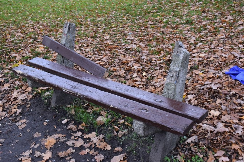 Tak wygląda ławka i huśtawka w parku POW w Sławnie