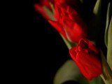 Rozwiązanie konkursu na Dzień Kobiet: Kto wygrał bukiet z kwiaciarni Ars Decoris