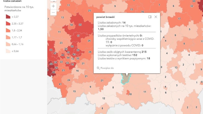 Koronawirus. Wzrost liczby zakażeń SARS-CoV-2 w Tarnowie oraz powiatach: tarnowskim, dąbrowskim, brzeskim i bocheńskim [AKTUALIZACJA 6.05]