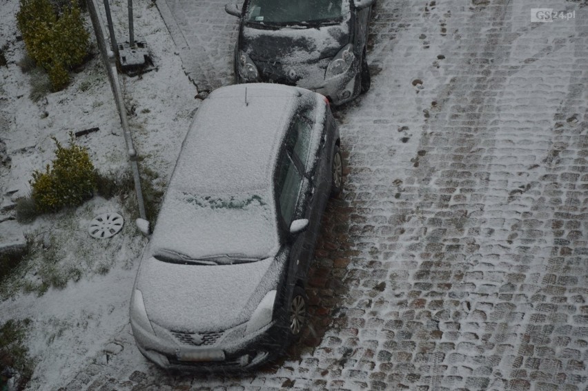 Pogoda w Szczecinie. Sypie śnieg - jak wyglada sytuacja na drogach? 