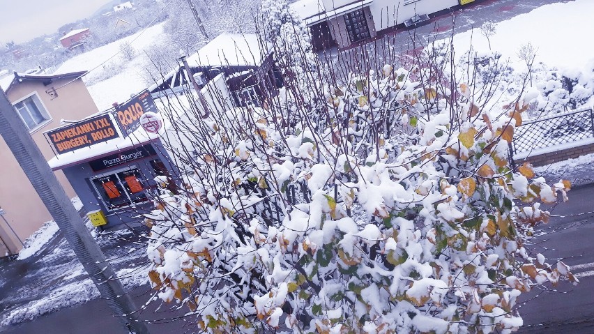 Śnieg okrył powiat wejherowski. Zobaczcie piękne zdjęcia naszych czytelników | FOTO