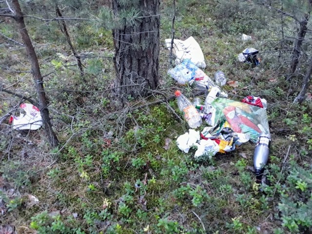 W Biłgoraju “polują” na śmieciarzy w lasach. Pomaga w tym foto pułapka