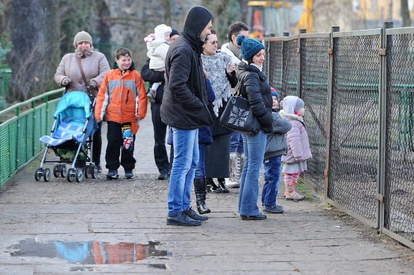 Stare Zoo w Poznaniu