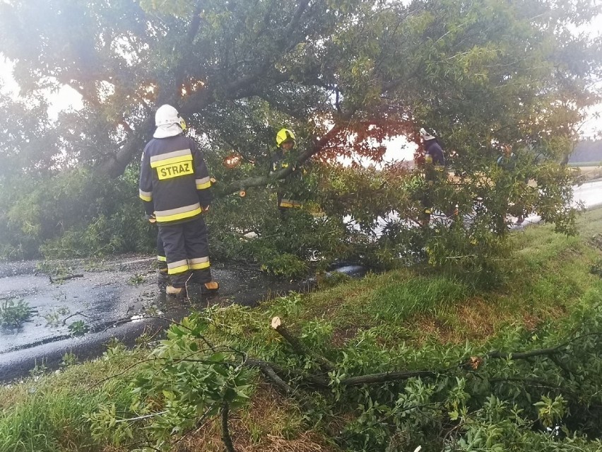 Silny wiatr i burze w gminie Szadek. Straż pożarna podsumowała  interwencje 