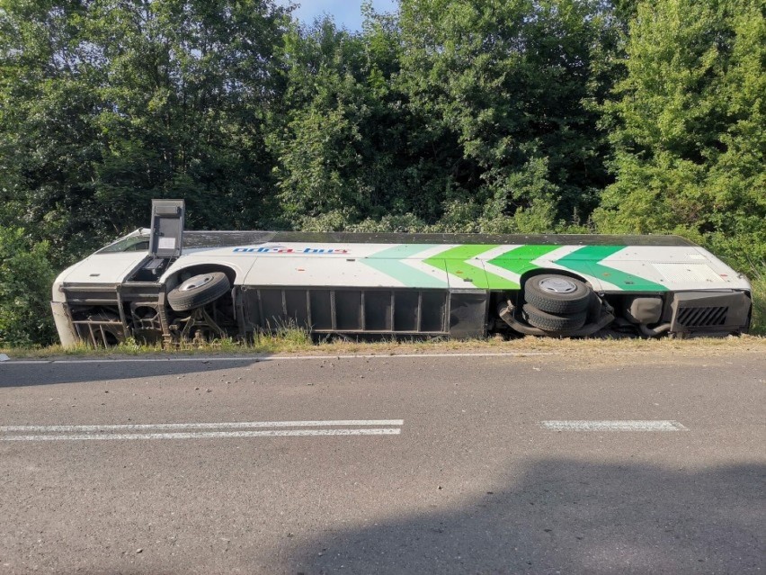 Wypadek autokaru w Ścinawce Górnej. Wycieczka jechała do Zamku Książ w Wałbrzychu. Autokar w rowie, 11 osób rannych