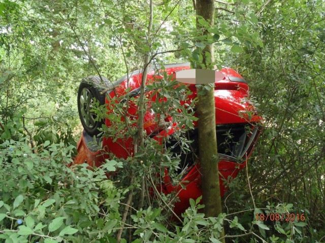 Auto wypadło z drogi i wpadło na drzewo