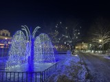 Świąteczne iluminacje w Bełchatowie. W mieście rozbłysły już światełka FOTO, VIDEO