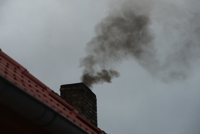 Smog zimą w Zielonej Górze może być utrapieniem dla mieszkańców.