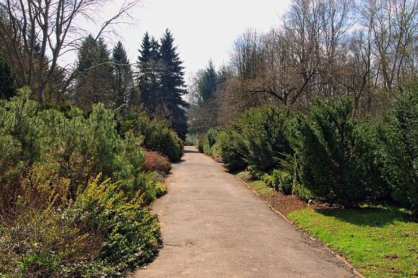 Otwarcie sezonu w Ogrodzie Botanicznym w Lublinie