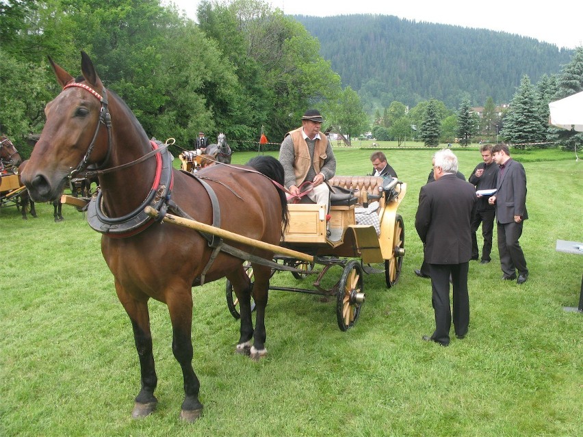 Zakopane: góralskie dorożki są w pełni sprawne [FOTO]