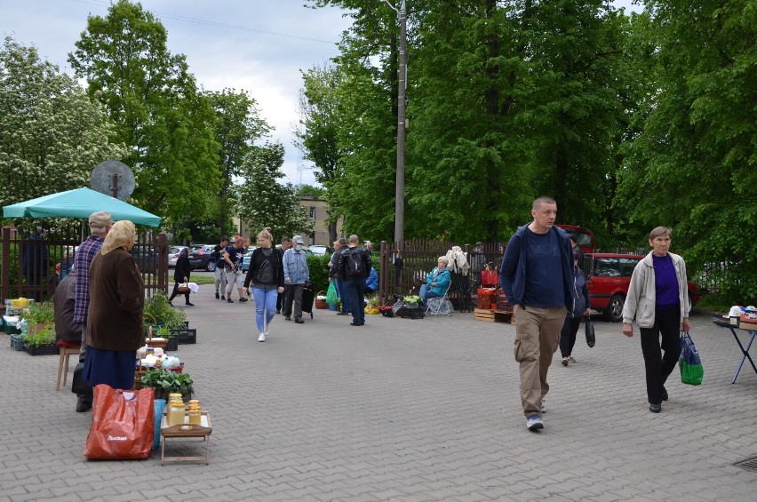 Przebudowa rynku w Hajnówce trwa, zaś handlarze przenieśli się na plac Muzeum