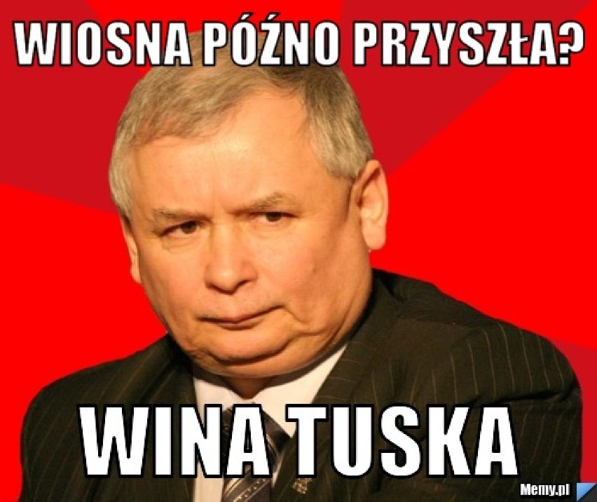 Wiosna? Nie znam tego eventu, czyli najlepsze memy o wiośnie...