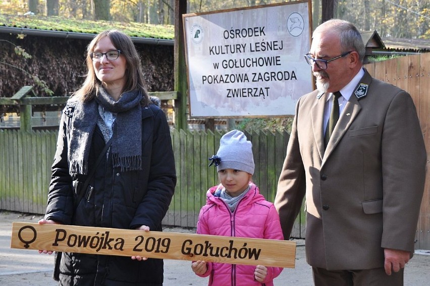 Ośrodek Kultury Leśnej w Gołuchowie. Najmłodszy z żubrów otrzymał imię