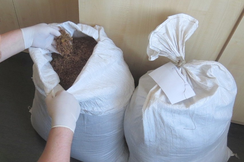 Mieszkaniec gminy Lubiewo posiadał 40 kg nielegalnego tytoniu
