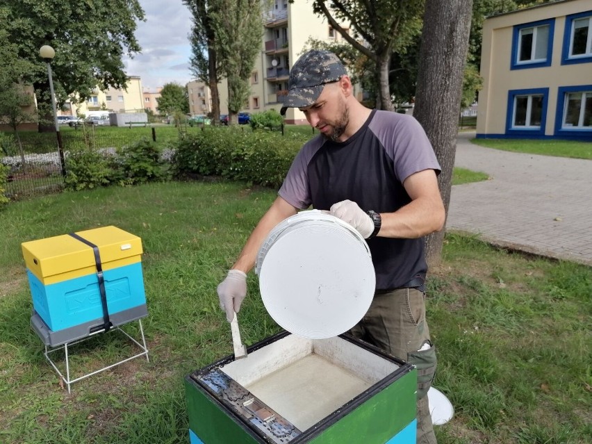 Paweł Sulatycki dokarmia pszczoły syropem