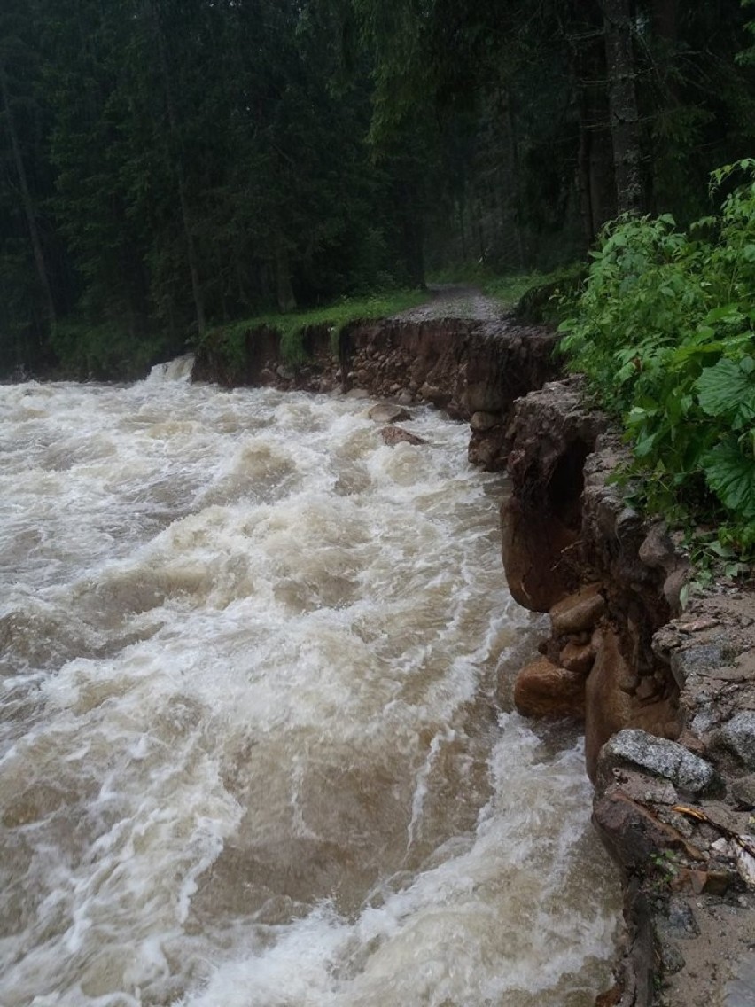 Tatry. Szlaki zamieniły się w rwące potoku. TPN ostrzega [ZDJĘCIA]