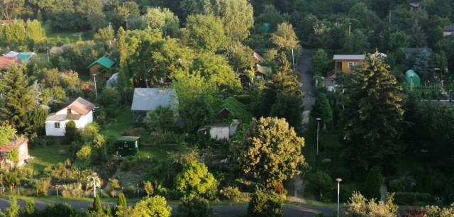 Za kilkuarową działkę z altaną trzeba dziś zapłacić około 50 tys. Najlepiej zagospodarowane skrawki zieleni na rodzinnych ogródkach działkowych kosztują już ponad 100 tys. zł. Przykładowe ofert z różnych krakowskich ROD-ów w galerii. Zobacz na kolejnych slajdach, posługując się klawiszami strzałek, myszką lub gestami >>>