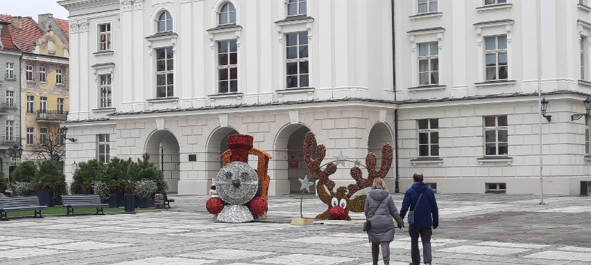 Świąteczne dekoracje w Kaliszu