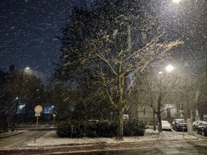 Spadł pierwszy śnieg. Zobacz zdjęcia ośnieżonego Poznania ->