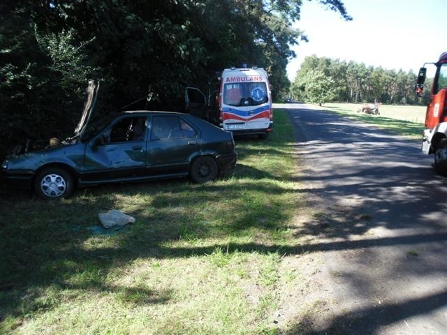 Wypadek w Brzostowie: Renaultem uderzył w drzewo