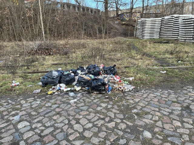 Dzikie wysypisko śmieci w rejonie stacji kolejowej Szczecin Turzyn