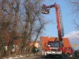 Wiatr uszkodził wielkie drzewo, które zawisło nad ul. Sztygarską w Wałbrzychu - wstrzymano ruch 