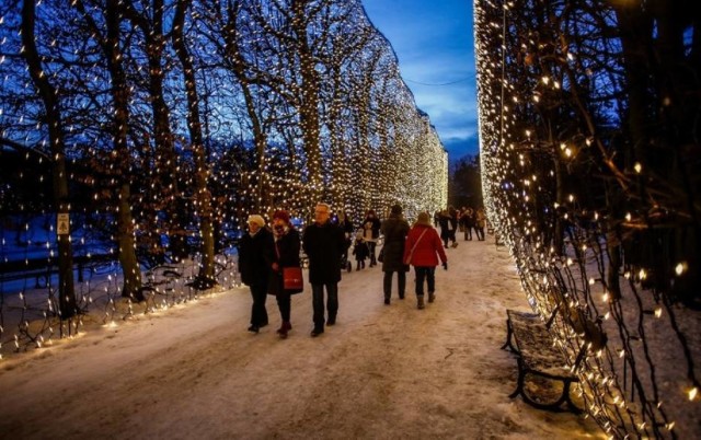 Iluminacje w parku oliwskim przyciągnęły tłumy