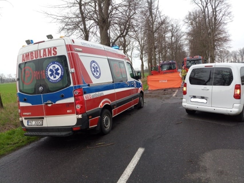 Śmiertelny wypadek na trasie Przyprostynia - Chobienice. Auto uderzyło w drzewo [ZDJĘCIA]