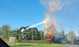Groźny pożar przy domu w podzielonogórskim Droszkowie. Zaczęło się od grilla. Płonęła trawa i drzewa. Ogień sięgał kilkunastu metrów