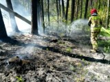 W gminie Sławno płonęła ściółka leśna na obszarze 3 arów. Był też drugi pożar. Zdjęcia
