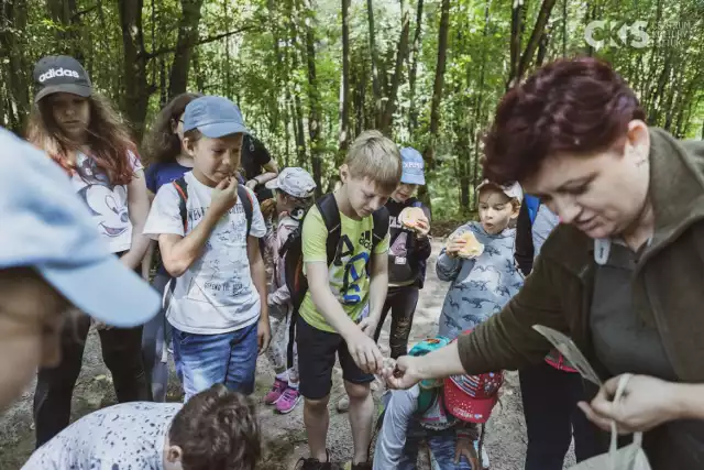 Dzieci na wycieczce w Bolimowskim Parku Krajobrazowym