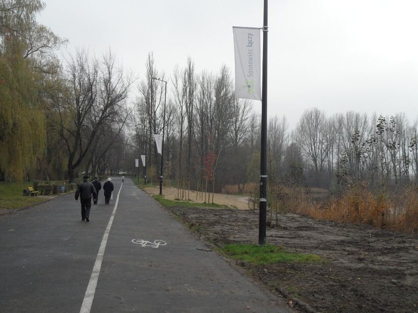 Na Stawikach wycięto już 77 topoli. Teraz w miejscu, gdzie...