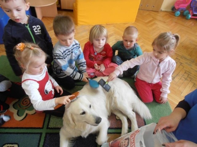 Dogoterapia w Żorach. Psi terapeuci spotkają się z mieszkańcami