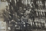 Wielkie polowanie w gminie Darłowo z 1931 r.. Unikalne zdjęcia