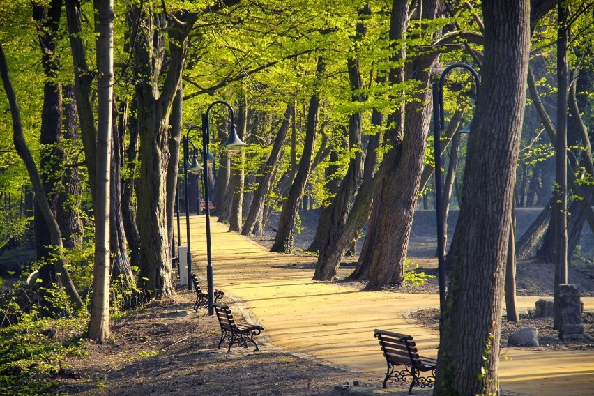 Park w Wojanowie - wyjątkowe miejsce z ciekawą historią w...