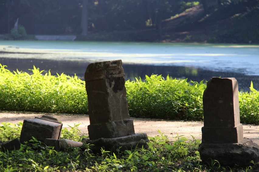 Park w Wojanowie - wyjątkowe miejsce z ciekawą historią w...