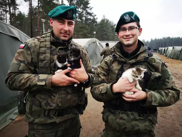 Bydgoscy żołnierze uratowali trzy kotki. Dwa z nich znalazły już nowe domy. Do adopcji został jeszcze jeden biało-czarny mruczek.