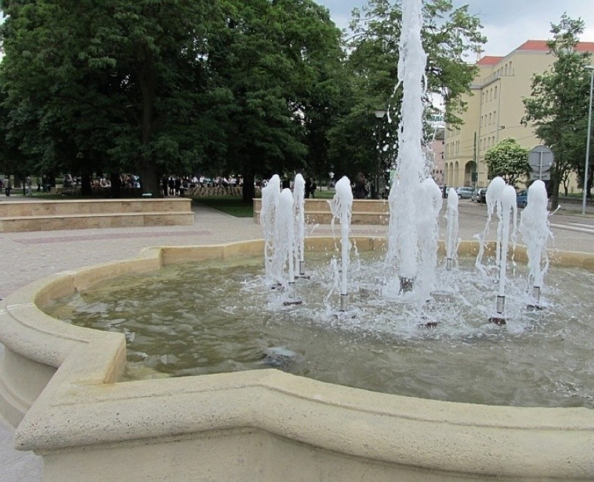 Park Romana Maciejewskiego powstał w 2012 roku. Usytuowany...