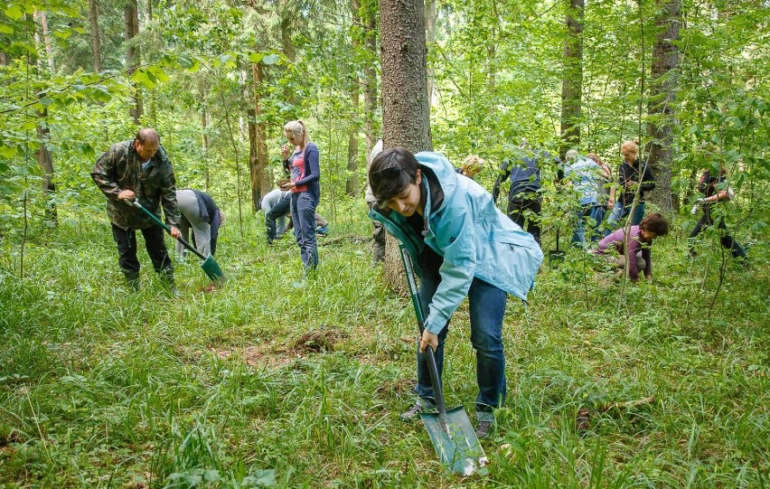 300 drzew dla Podlasia od Chesapeake Białystok