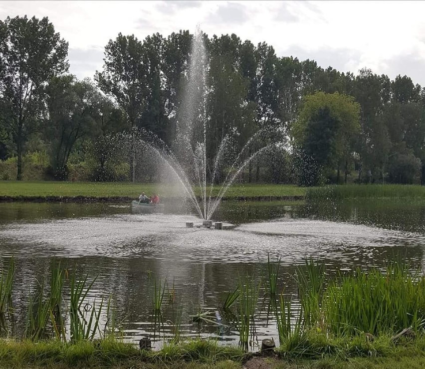 Czeladź: nowa podświetlana fontanna w Parku Grabek. Będzie też tężnia [ZDJĘCIA] 