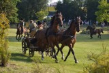 W Bełchatowie odbył się "Piknik ze Stefanem i Nelly", 14.08.2021