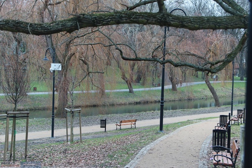 Park imienia Henryka Sienkiewicza we Włocławku już po...