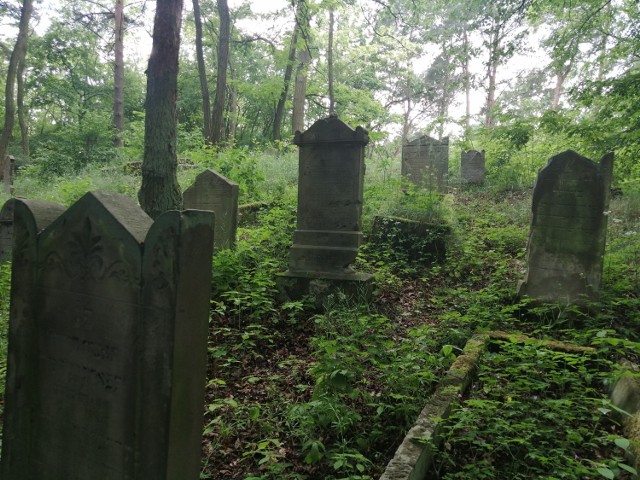 Cmentarz żydowski w Trzcielu powstał w połowie XVIII w. Najstarsze macewy, czyli płyty nagrobne, zachowały się na górze. Im niżej, tym nagrobki młodsze.