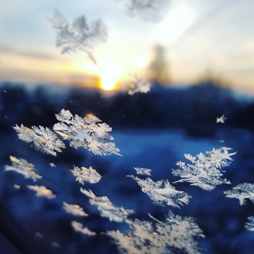Pogoda w Lublinie i woj. lubelskim. Środa z opadami śniegu. Jaki będzie czwartek? (WIDEO)