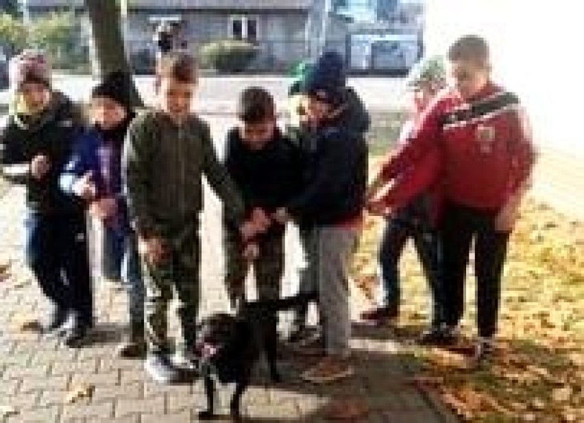Krotoszyn: Uczniowie SP nr 3 w Krotoszynie wspomogli krotoszyńskie schronisko
