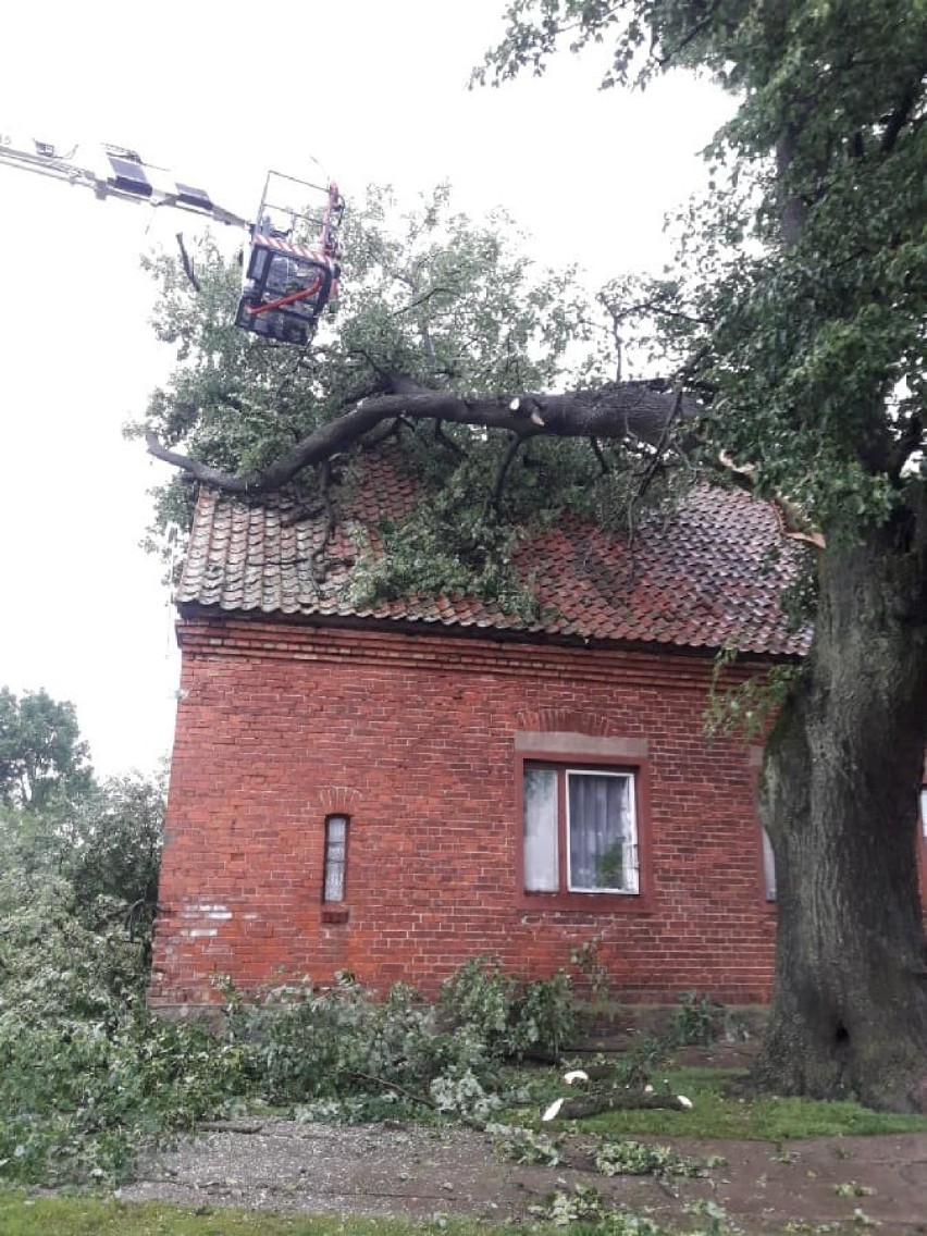 Skutki wczorajszej burzy w powiecie tczewskim 